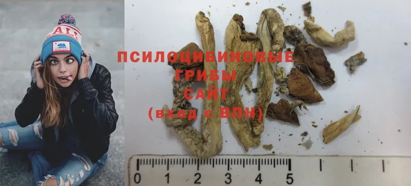 Галлюциногенные грибы MAGIC MUSHROOMS  Грязи 